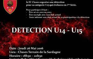 DETECTION U15 Saison 2016 2017